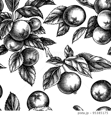 Gardening seamless pattern background design. Engraved style. Hand drawn apples. Gardening seamless pattern background design. Engraved style. Hand drawn apples. 95385175
