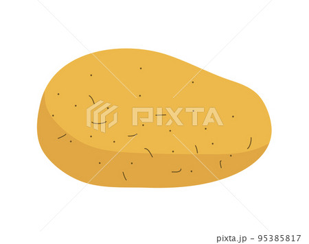 Raw potatoes vegetable isolated on white background 95385817