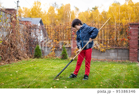 Little boy with a rake cleaning fallen leaves in the autumn yard garden. Kids and housework concept. Little boy helping with backyard cleaning. Children play outdoors. Little helper. Little boy with a rake cleaning fallen leaves in the autumn yard garden. Kids and housework concept. Little boy helping with backyard cleaning. Children play outdoors. Little helper. 95386346