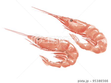 水彩のえび01_01 水彩のえび01_01 95386566