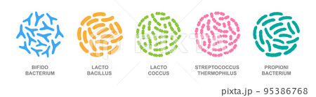 Probiotics in a circle. Good bacteria and microorganisms. Bifidobacterium, lactobacillus, lactococcus, streptococcus thermophilus, propionibacterium. 95386768