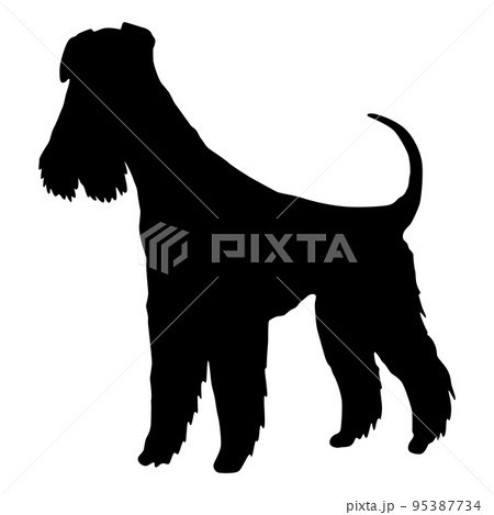 Dog silhouette, mittelschnauzer or airedale terrier breed. Side view pet stand icon in black color. Make used for dog show, competition, store, guide dog. Domestic animal isolated on white background Dog silhouette, mittelschnauzer or airedale terrier breed. Side view pet stand icon in black color. Make used for dog show, competition, store, guide dog. Domestic animal isolated on white background 95387734