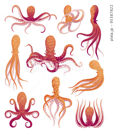 Octopus cartoon flat characters set. Aquatic fauna icons. Animals illustration for zoo ad, nature concept. Cute color octopuses, sea animals with tentacles 95387822