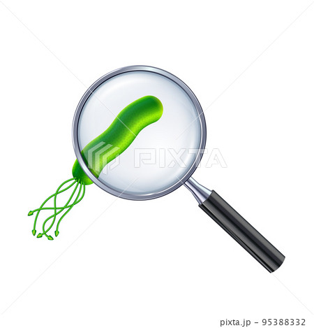 Vector illustration of green bacteria cell under the magnifying glass 95388332