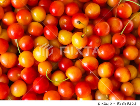 background red and yellow cherries closeup texture fruit summer background red and yellow cherries closeup texture fruit summer 95389253