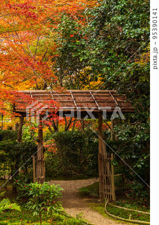 京都嵐山の秋　紅葉の厭離庵　庭園 95390141