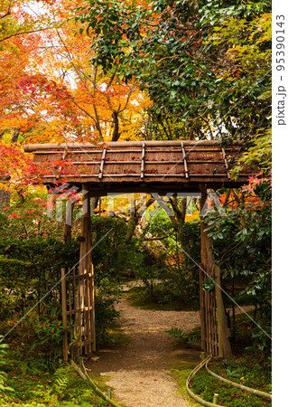 京都嵐山の秋　紅葉の厭離庵　庭園 95390143