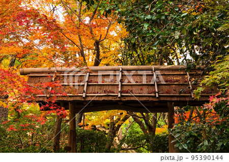 京都嵐山の秋　紅葉の厭離庵　庭園 95390144