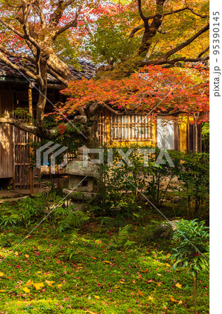 京都嵐山の秋　紅葉の厭離庵　庭園 95390145