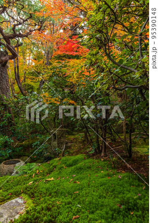 京都嵐山の秋　紅葉の厭離庵 95390148