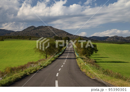 高原の道 高原の道 95390301