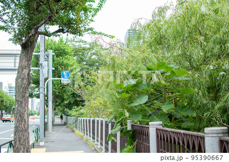 外堀通り／東京都新宿区 95390667