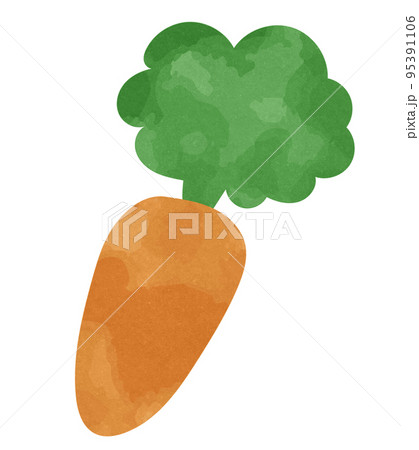 水彩・手描き風　ニンジンのイラスト素材 95391106