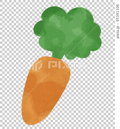 水彩・手描き風　ニンジンのイラスト素材 95391106