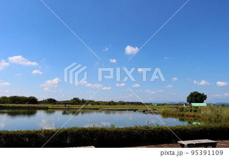 河川敷をのんびり散歩する癒しの時間　秋の鬼怒川　栃木 95391109