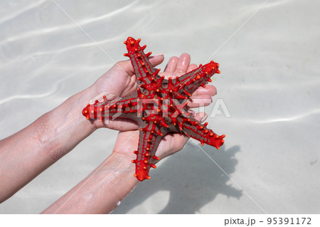 A lot of colorful beautiful starfish lying on the bottom in the blue ocean.  95391172