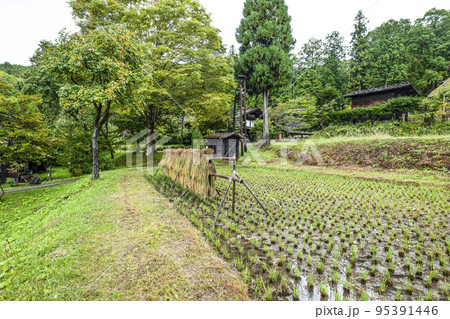 秋を迎えた飛騨の里(雨天) 秋を迎えた飛騨の里(雨天) 95391446