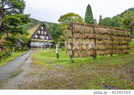 秋を迎えた飛騨の里（雨天）車田 95391503