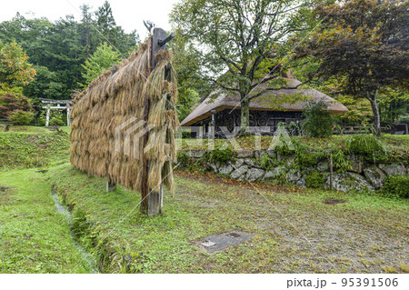 秋を迎えた飛騨の里（雨天） 95391506