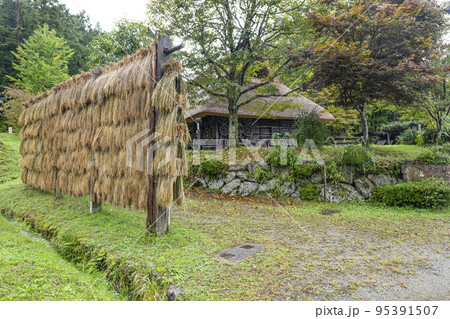 秋を迎えた飛騨の里(雨天) 秋を迎えた飛騨の里(雨天) 95391507