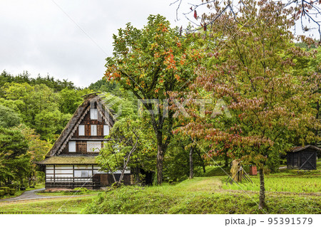 秋を迎えた飛騨の里(雨天) 秋を迎えた飛騨の里(雨天) 95391579