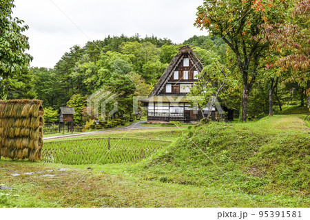 秋を迎えた飛騨の里(雨天) 秋を迎えた飛騨の里(雨天) 95391581