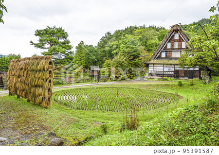 秋を迎えた飛騨の里（雨天）車田 95391587