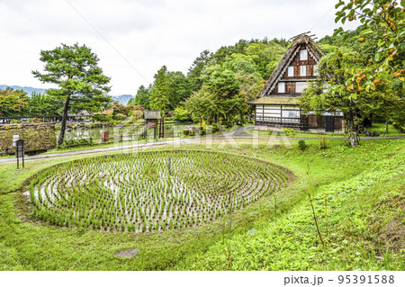 秋を迎えた飛騨の里(雨天)車田 秋を迎えた飛騨の里(雨天)車田 95391588