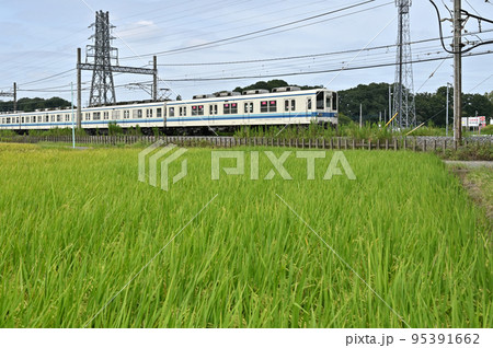 鉄道　私鉄・東武鉄道　野田線　8000系　8164F 95391662