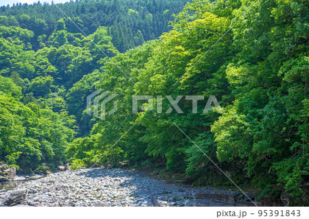 荒川上流 道の駅大滝温泉付近 遊歩道からの眺め 新緑の風景 荒川上流 道の駅大滝温泉付近 遊歩道からの眺め 新緑の風景 95391843