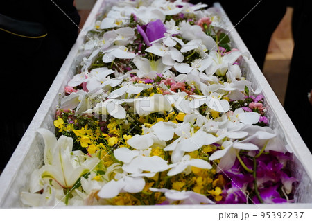 お花でいっぱいのお棺 お花でいっぱいのお棺 95392237