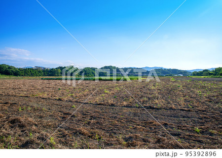 関越道花園IC付近　農耕地の風景　初夏の季節 95392896