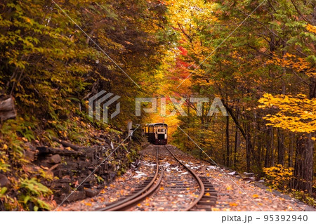 【長野県】赤沢自然休養林の紅葉のトンネルを走る赤沢森林鉄道 95392940