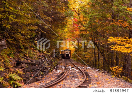 【長野県】赤沢自然休養林の紅葉のトンネルを走る赤沢森林鉄道 【長野県】赤沢自然休養林の紅葉のトンネルを走る赤沢森林鉄道 95392947