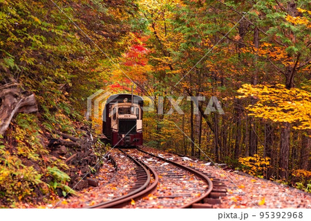 【長野県】赤沢自然休養林の紅葉のトンネルを走る赤沢森林鉄道 【長野県】赤沢自然休養林の紅葉のトンネルを走る赤沢森林鉄道 95392968