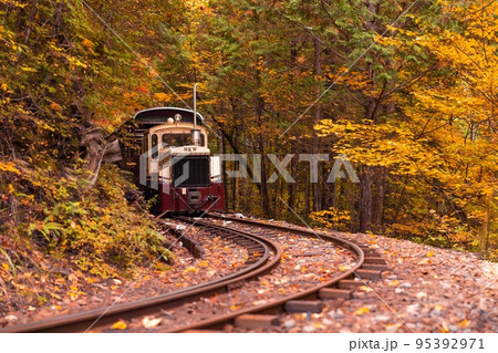 【長野県】赤沢自然休養林の紅葉のトンネルを走る赤沢森林鉄道 【長野県】赤沢自然休養林の紅葉のトンネルを走る赤沢森林鉄道 95392971