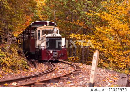 【長野県】赤沢自然休養林の紅葉のトンネルを走る赤沢森林鉄道 95392976
