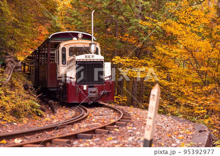 【長野県】赤沢自然休養林の紅葉のトンネルを走る赤沢森林鉄道 【長野県】赤沢自然休養林の紅葉のトンネルを走る赤沢森林鉄道 95392977