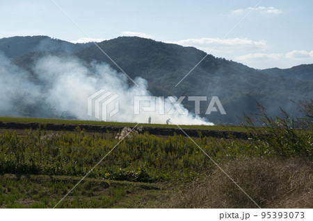 野焼きの風景 野焼きの風景 95393073