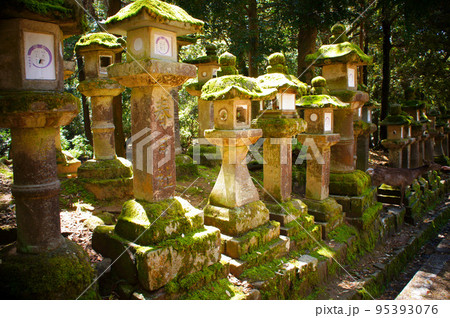 奈良県奈良市、春日大社に並ぶ古い石灯籠_07 奈良県奈良市、春日大社に並ぶ古い石灯籠_07 95393076