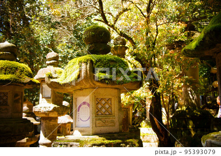 奈良県奈良市、春日大社に並ぶ古い石灯籠_04 奈良県奈良市、春日大社に並ぶ古い石灯籠_04 95393079