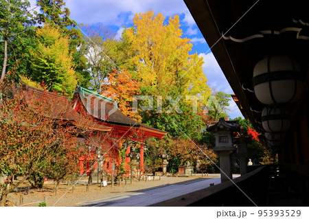 北野天満宮　地主社（京都市上京区）の紅葉 95393529