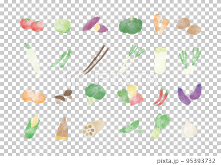 Vegetable Illustration Vegetable Illustration 95393732