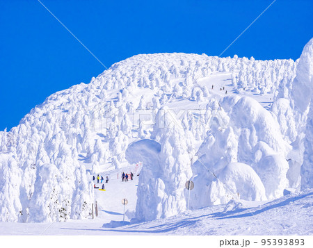 山頂の樹氷原コースを見上げる (山形県、蔵王温泉スキー場) 95393893
