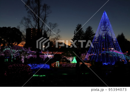 イルミネーションが輝く夜の公園 95394073
