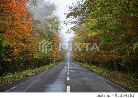 紅葉の道 95394262
