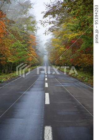紅葉の道 95394263