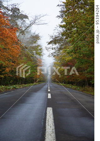 紅葉の道 95394264