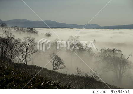 藻琴山の雲海 藻琴山の雲海 95394351