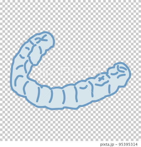 Mouthpiece illustration of orthodontic appliance 95395314